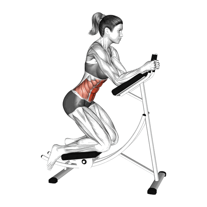 Animation AB Coaster