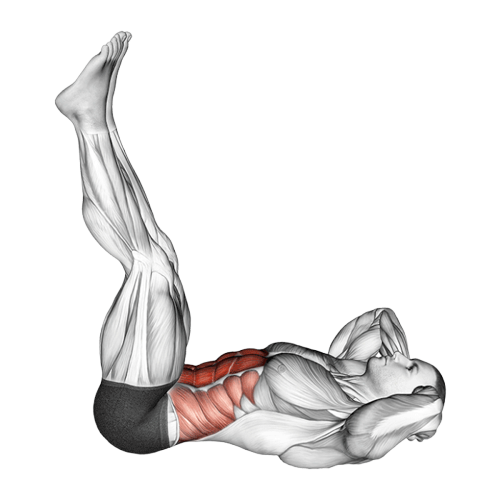 Crunch avec jambes verticales