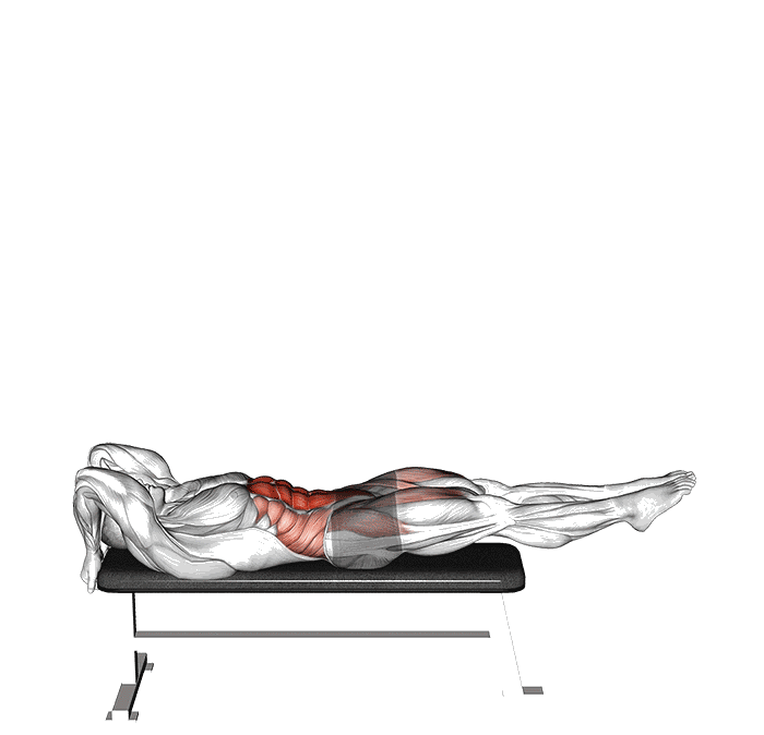 Animation Dragon Flag