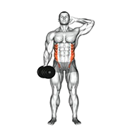 Flexion laterale (Halteres)