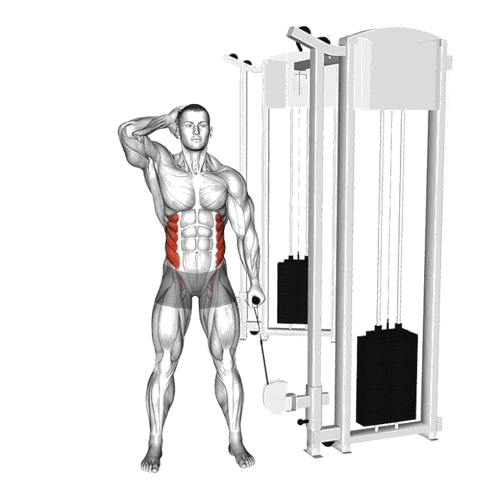 Animation Flexion latérale (Poulie)