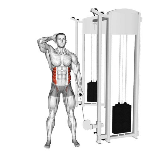 Flexion latérale (Poulie)