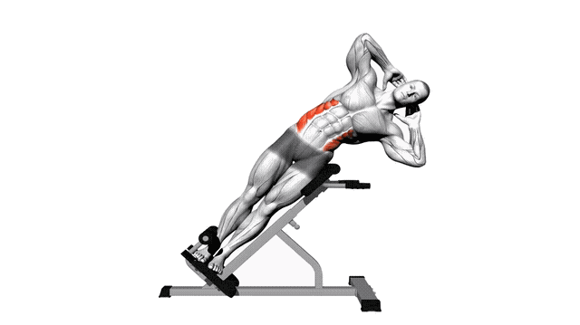 Animation Flexion laterale