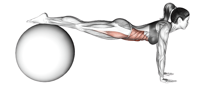 Jackknife sur swiss ball