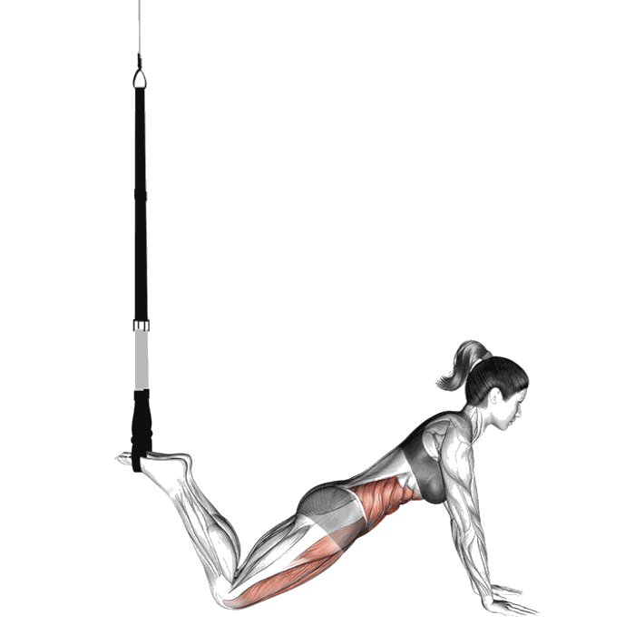 Animation Planche avec sangles de suspension