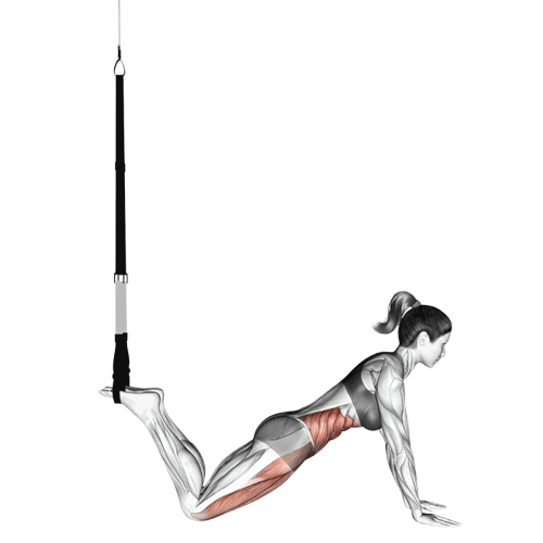 Planche avec sangles de suspension