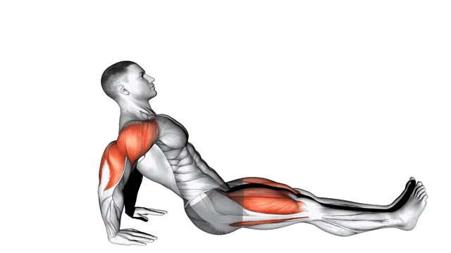 Animation Planche inversee