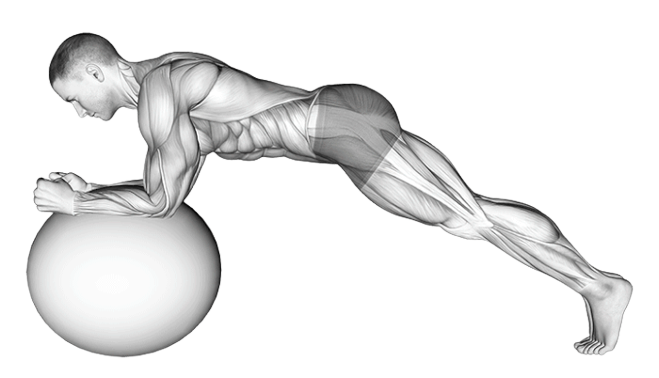 Planche sur Swiss ball