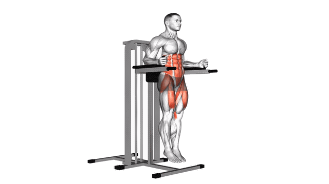 Animation Releve de genoux aux barres paralleles