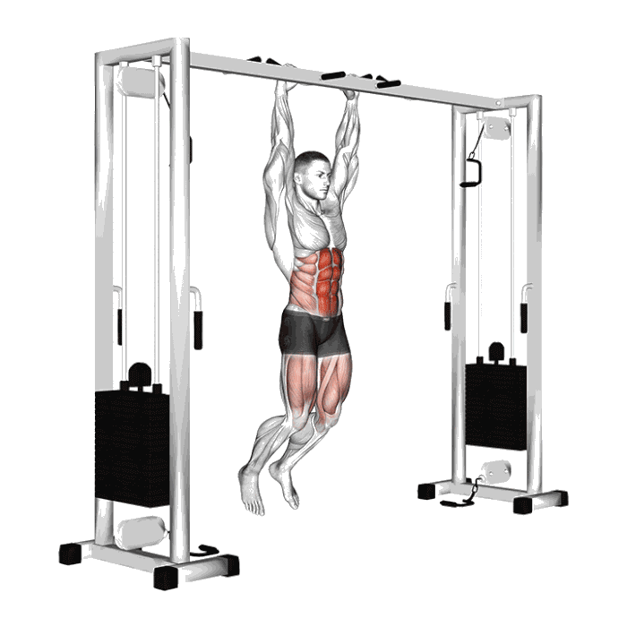 Animation Relevé de jambes en suspension