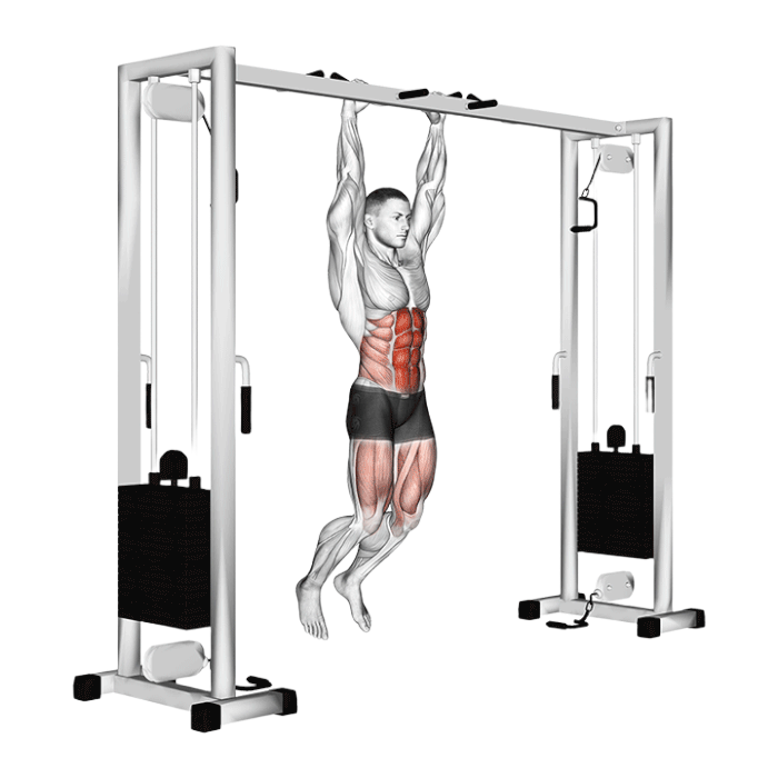 Relevé de jambes en suspension