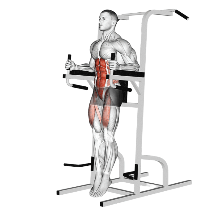 Relevé jambes aux barres paralleles