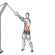 Rotation a la poulie (Haut vers bas)