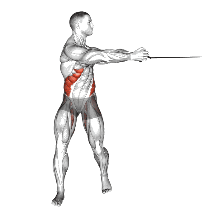 Animation Rotation du buste (Élastique)