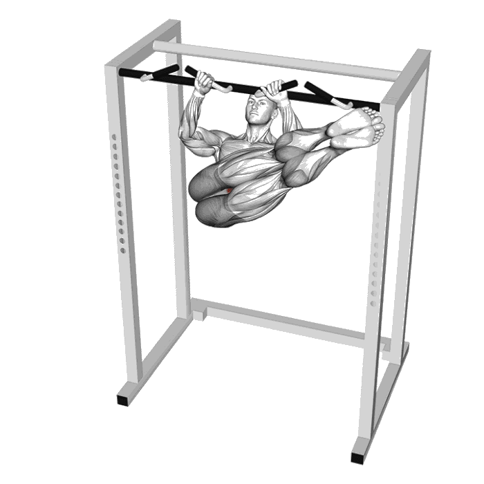 Animation Rotations des abdominaux suspendu