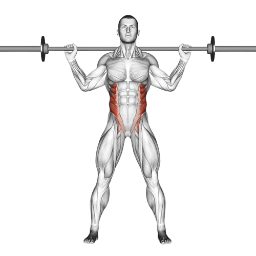 Rotations du buste avec barre