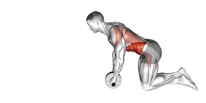 Animation Roulette abdominaux
