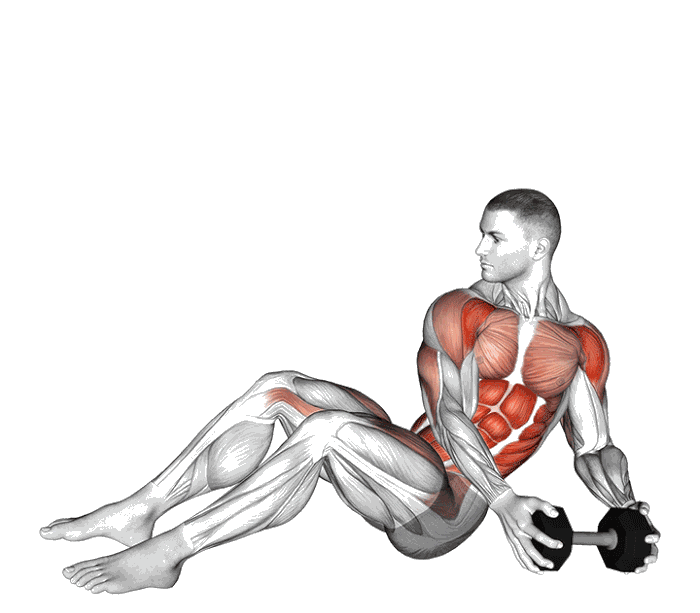 Animation Russian twist avec développé épaules