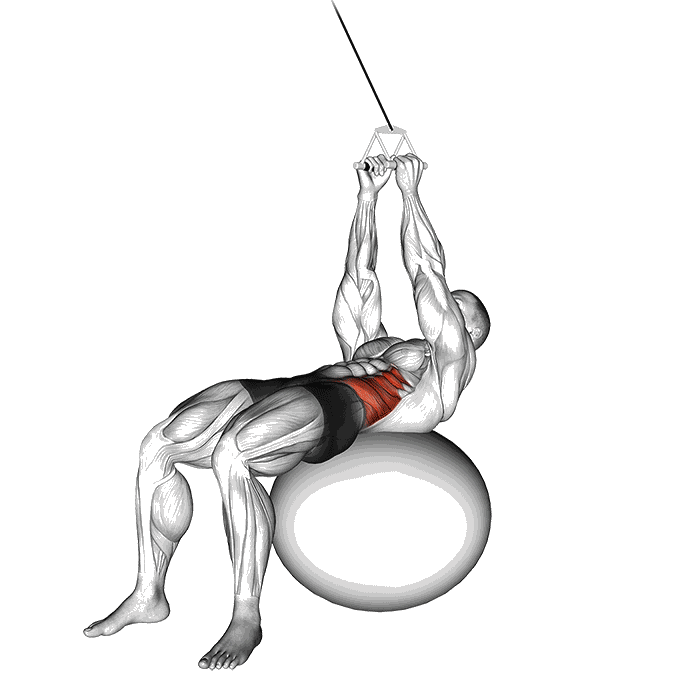 Animation Russian twists sur Swiss ball (Poulie)