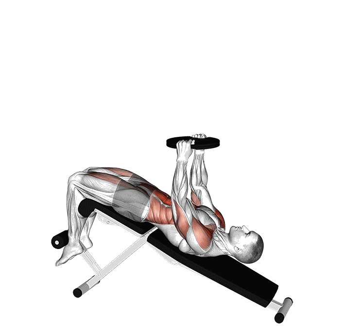 Animation Sit-up décliné