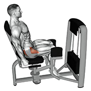 Abduction de Hanche (Machine)