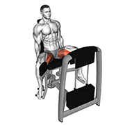 Adduction de Hanche (Machine)