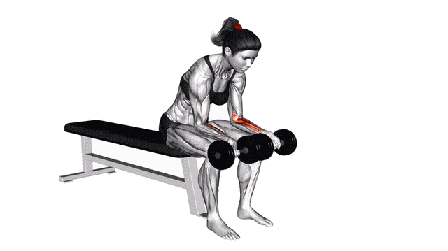 Animation Curl poignet paume vers le haut assis