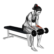 Curl poignet paume vers le haut assis