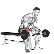 Extension poignet assis (Barre)