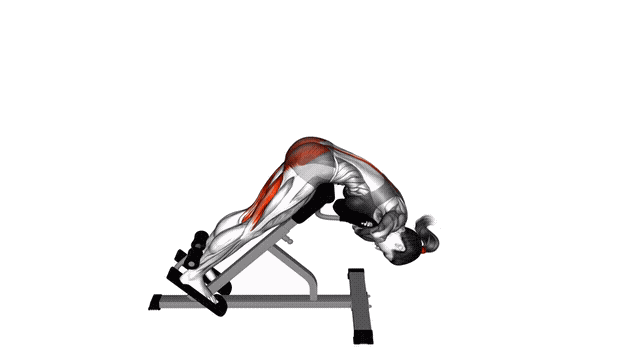 Animation Extension dorsale (Hyperextension Lestee)