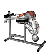 Extension dorsale (Hyperextension)