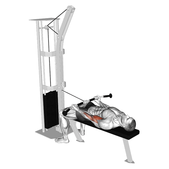 Animation Curl allongé  (Poulie)