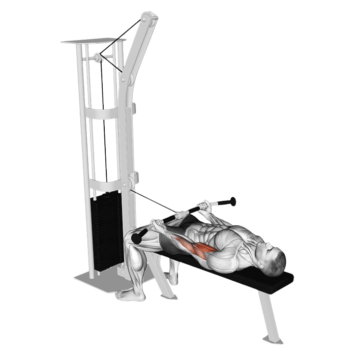 Curl allongé  (Poulie)