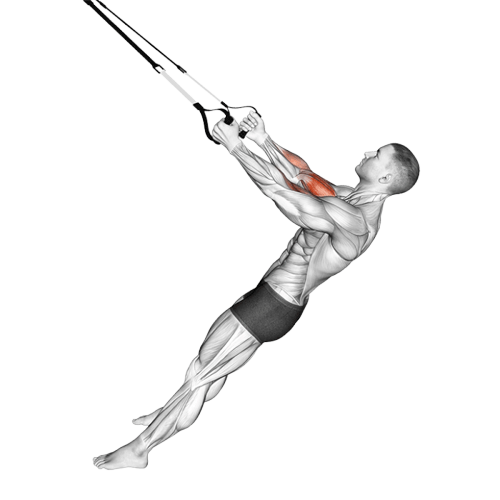 Curl avec sangles de suspension