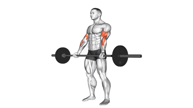 Animation Curl biceps 21s (Barre)