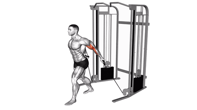 Animation Curl derriere le dos (Poulie)