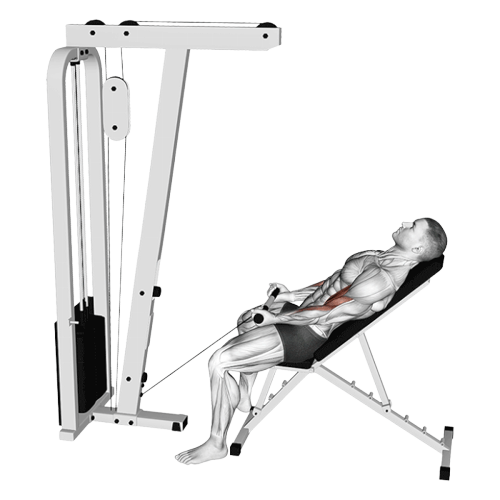 Curl incliné (Poulie)