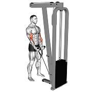 Curl marteau poulie basse