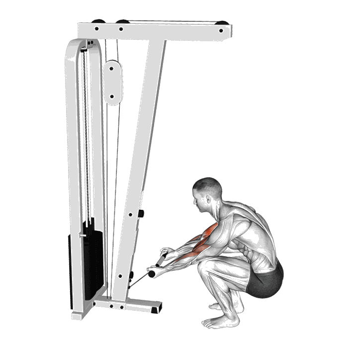 Animation Curl position squat (Poulie)