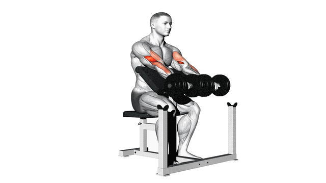 Animation Curl pupitre (Halteres)