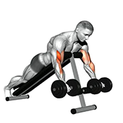 Curl spider (Halteres)