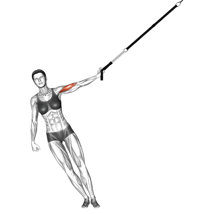 Animation Curl unilatéral avec sangles de suspension