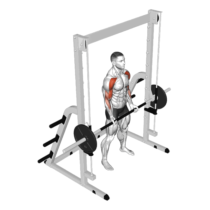 Animation Drag curl à la (Smith machine)
