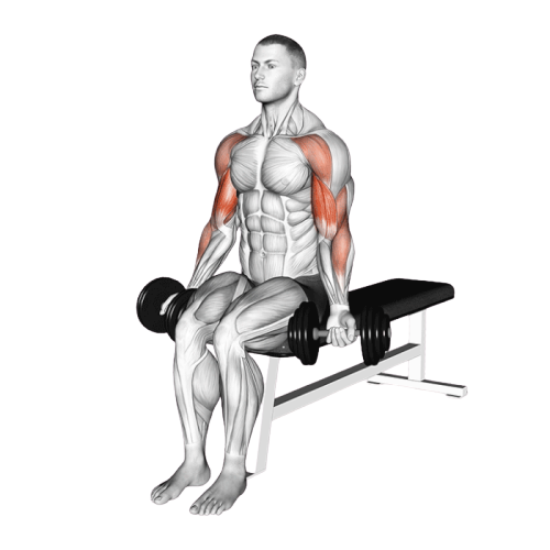 Drag curl (Halteres)