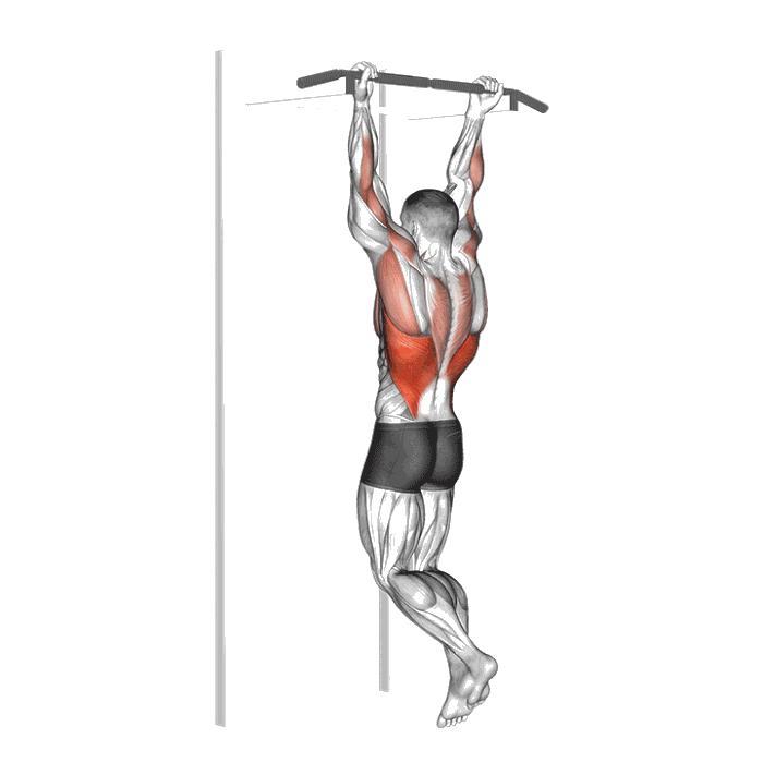 Animation Traction prise supination