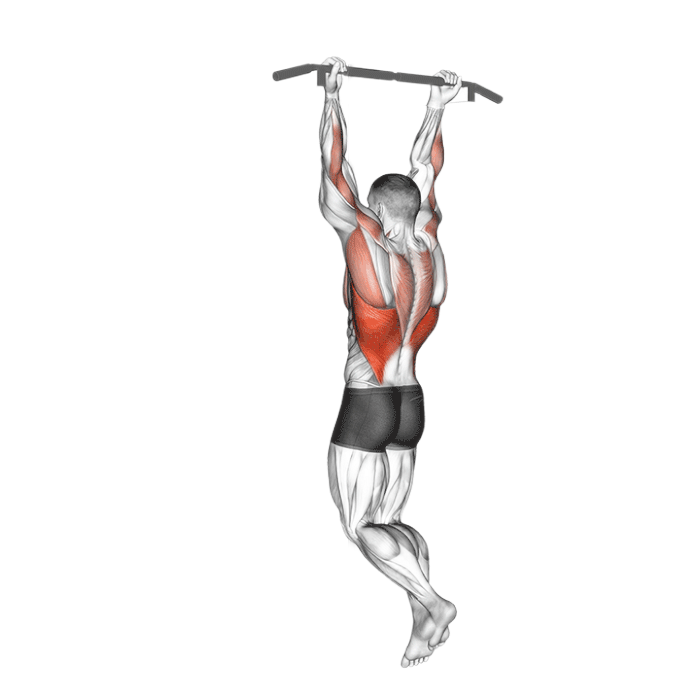 Traction prise supination