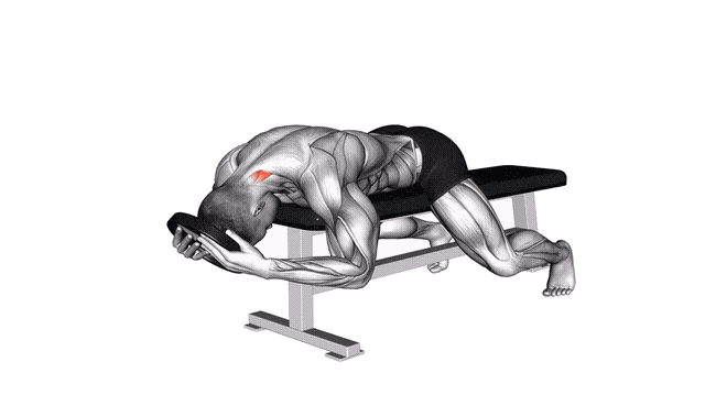 Animation Extension du cou allonge (Lestee)