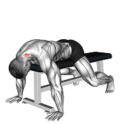 Extension du cou allonge