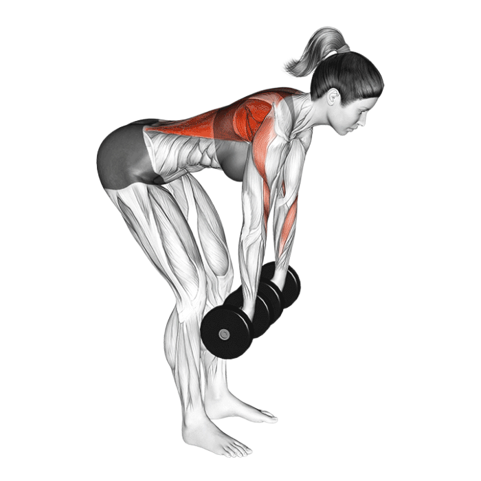 Bent over row avec haltères