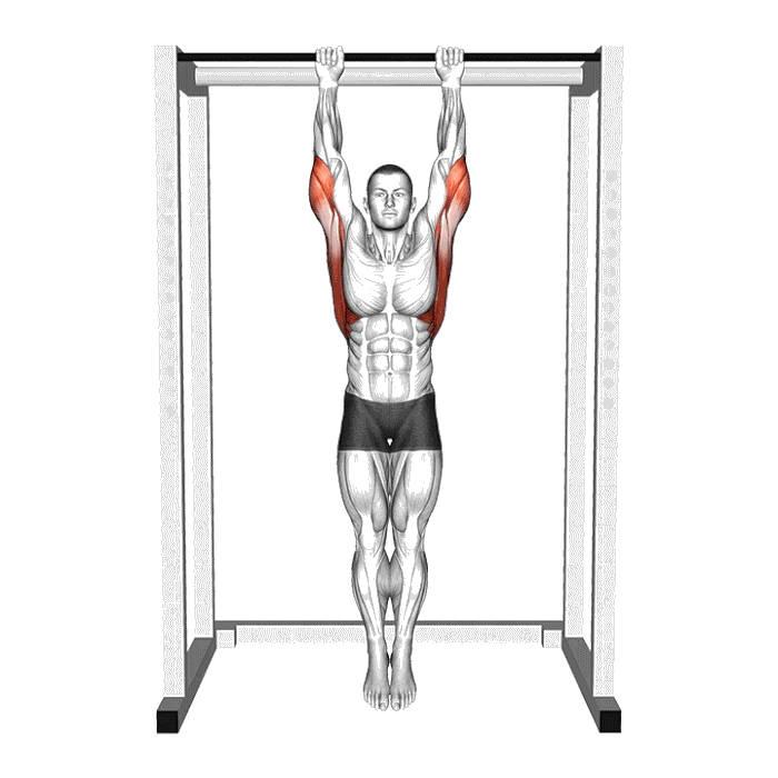 Animation Dead Hang (suspension passive)